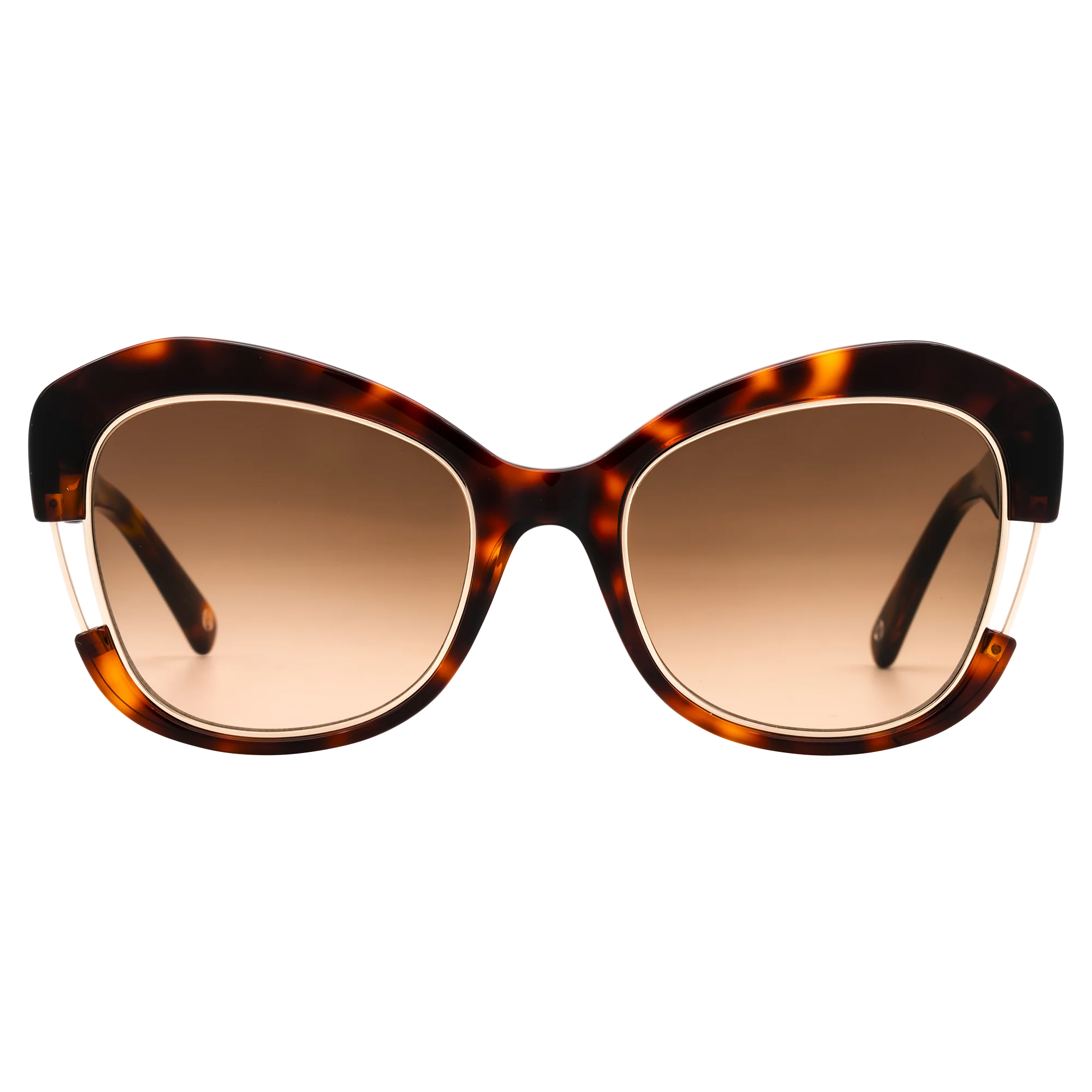 Coco Cabana - Image 4