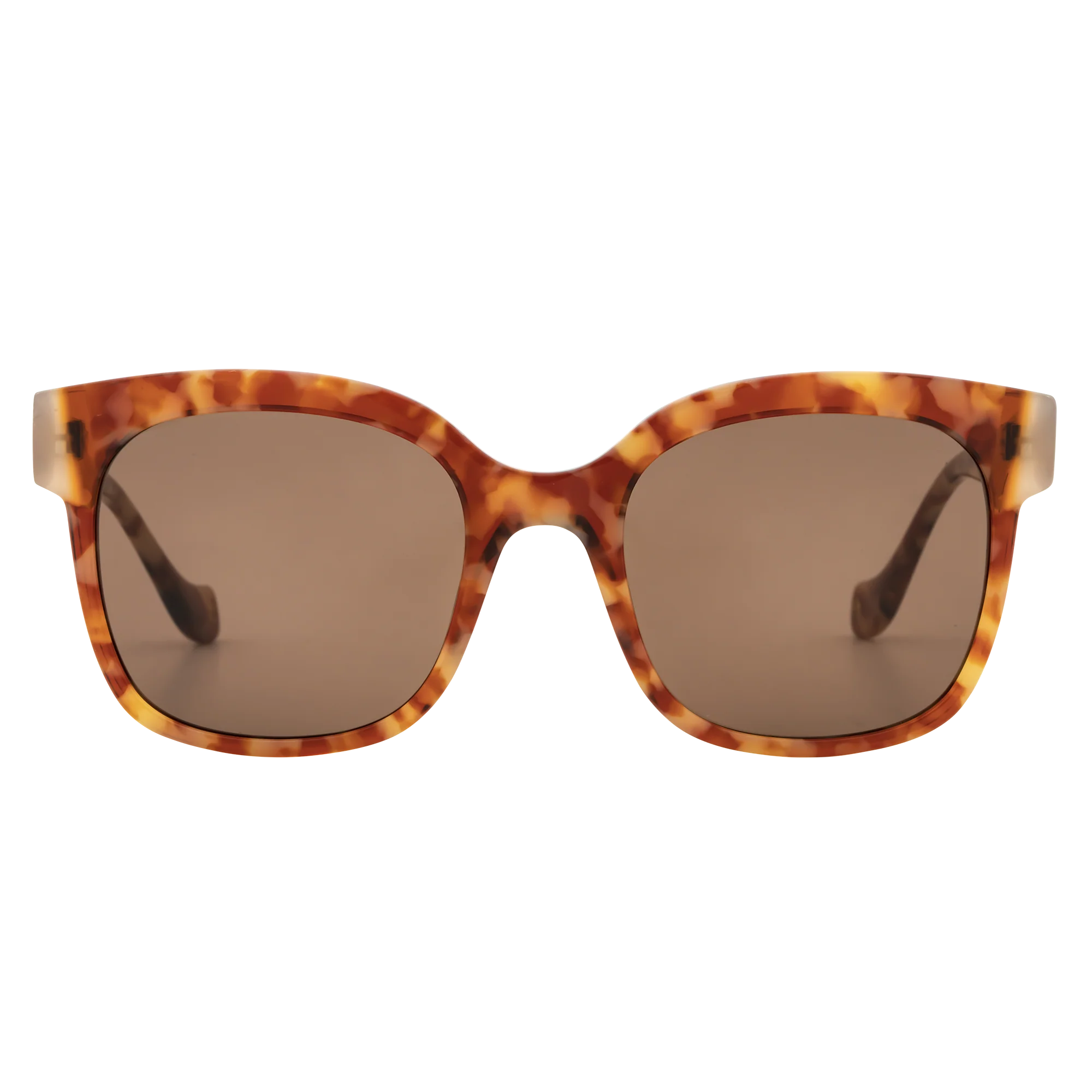 Coco Vista - Image 7