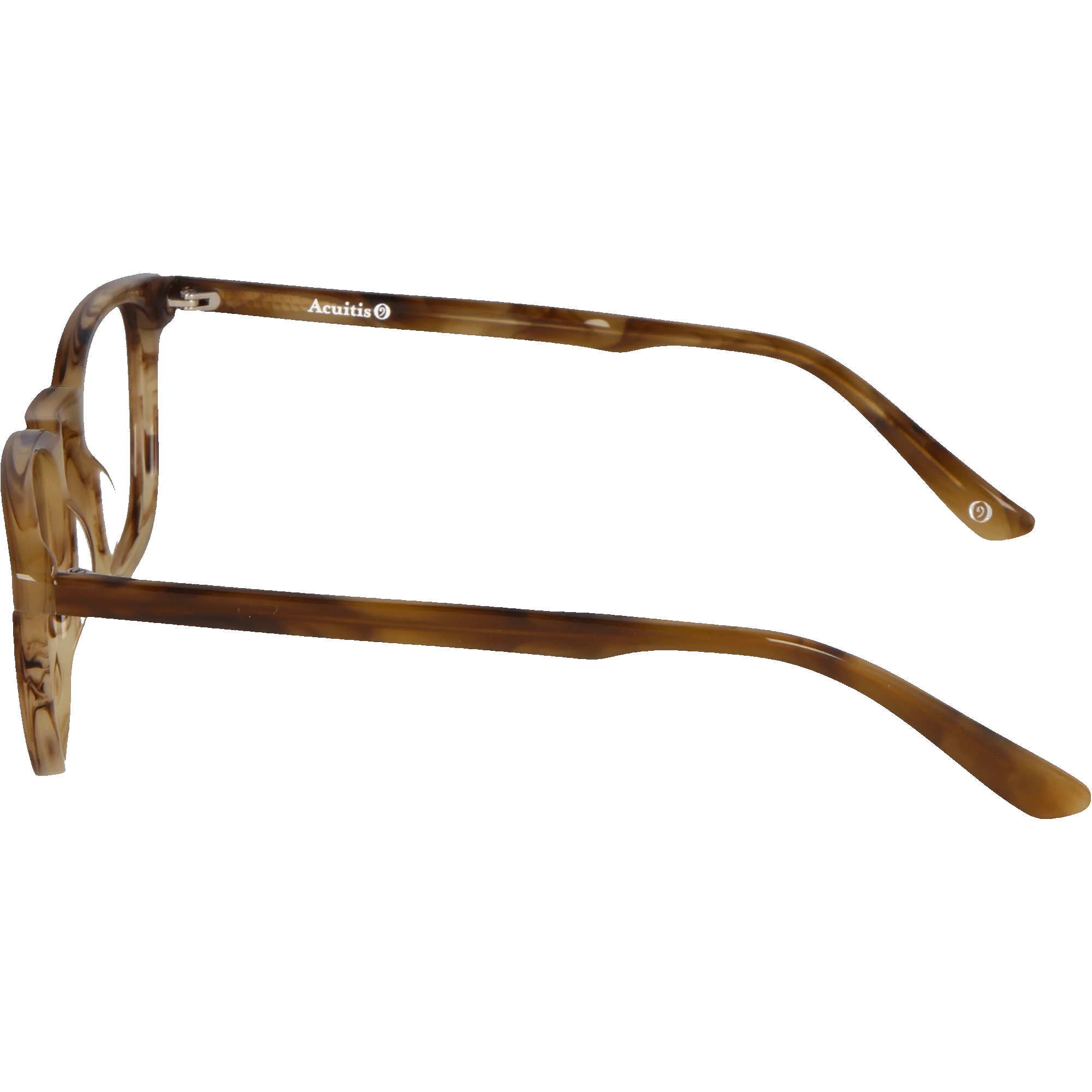 Dino - Image 6