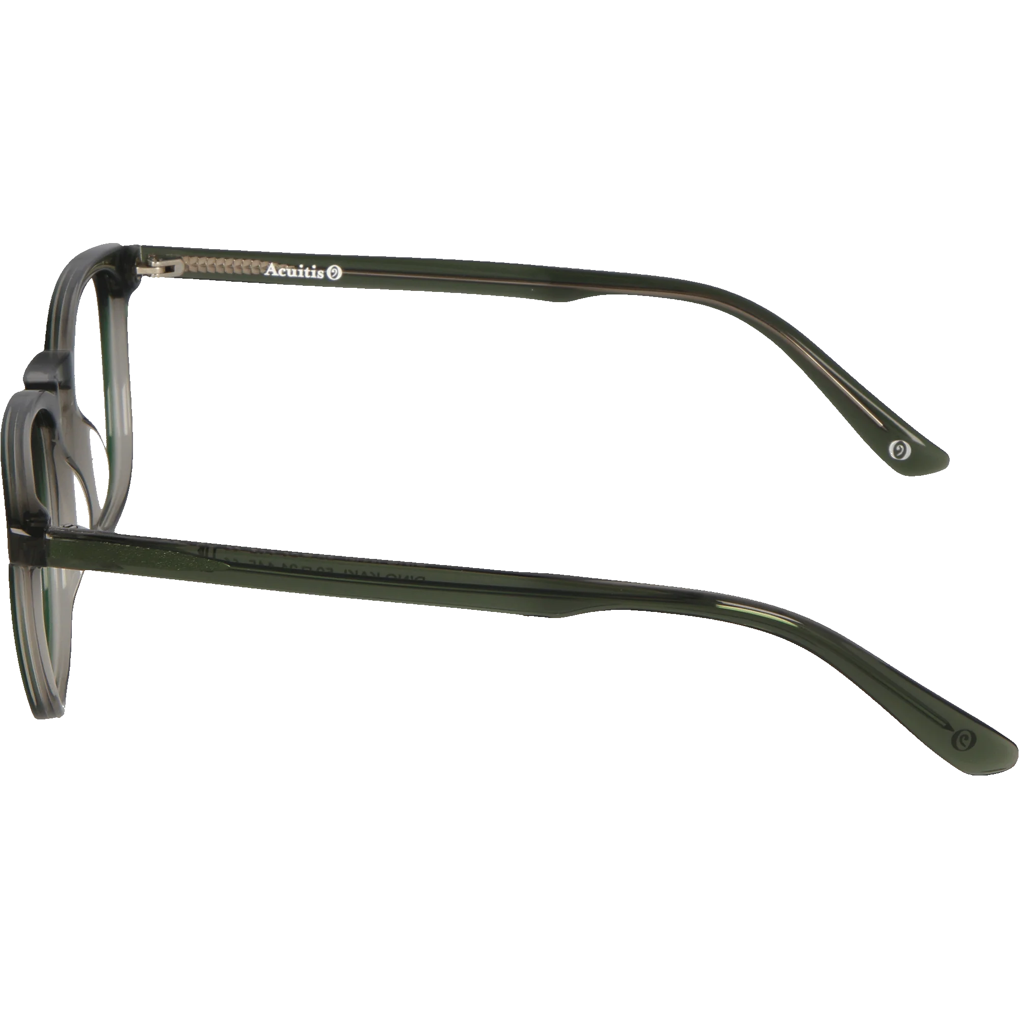 Dino - Image 9