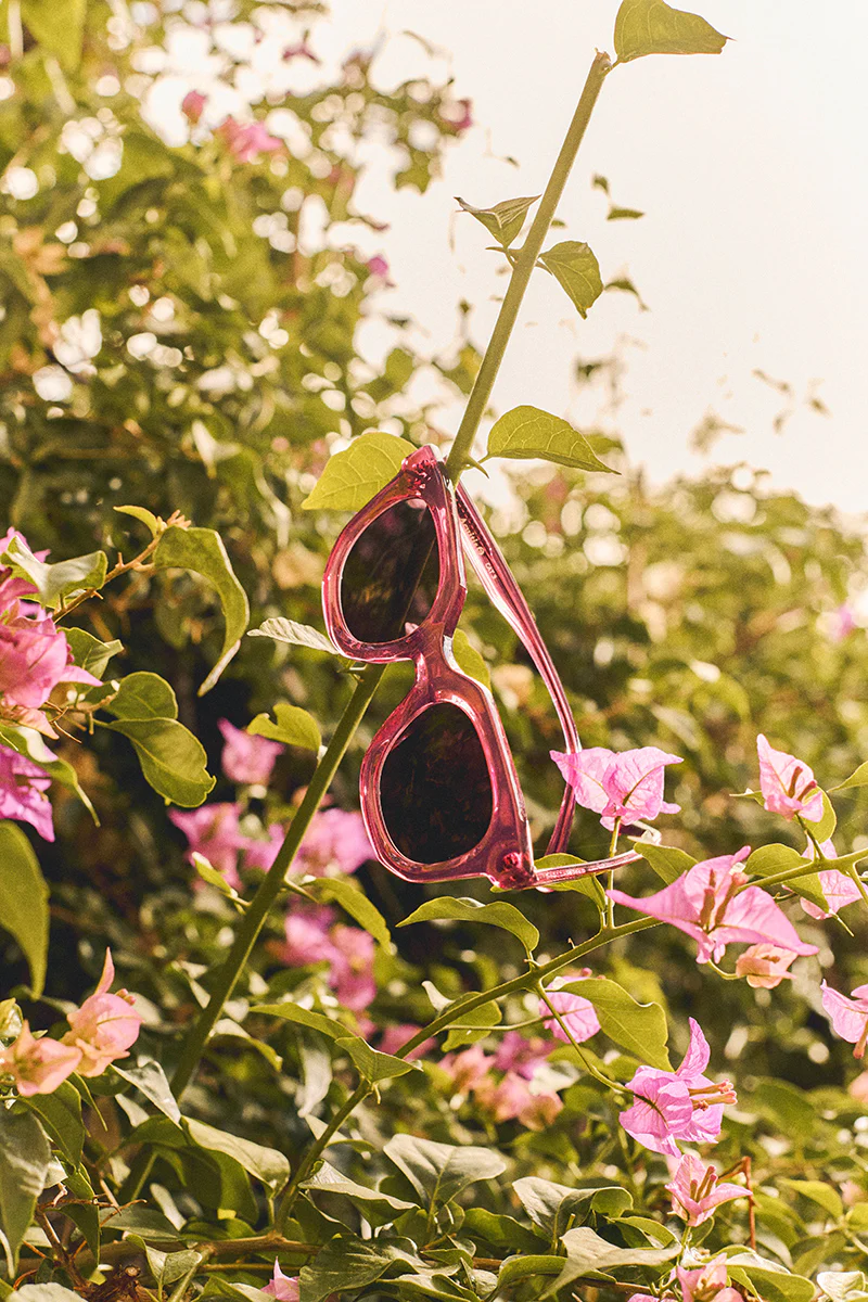 Palm Spring - Image 13